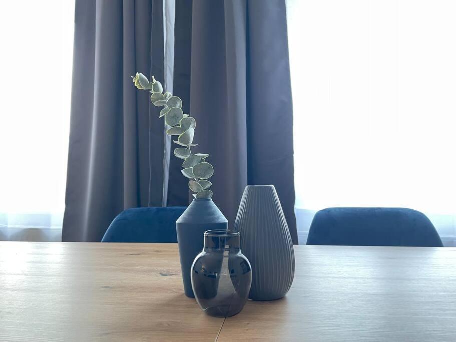 Lucky Stays Ls10 - Vollausstattung - Zentrum - Aufzug - Grosse Kueche - 2 Zimmer - Smart-Tv Magdeburgo Esterno foto