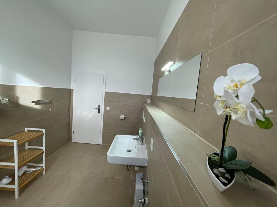 Lucky Stays Ls10 - Vollausstattung - Zentrum - Aufzug - Grosse Kueche - 2 Zimmer - Smart-Tv Magdeburgo Esterno foto
